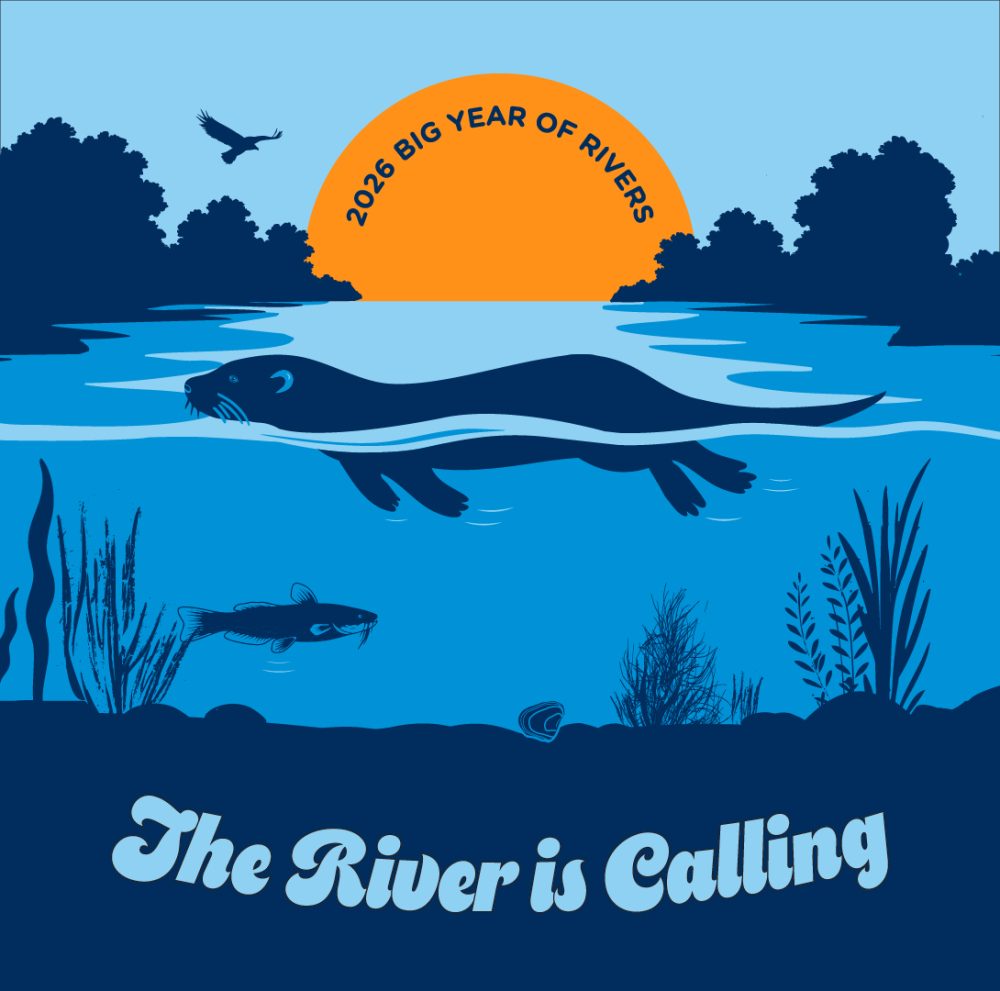 River Race Puzzle Showdown